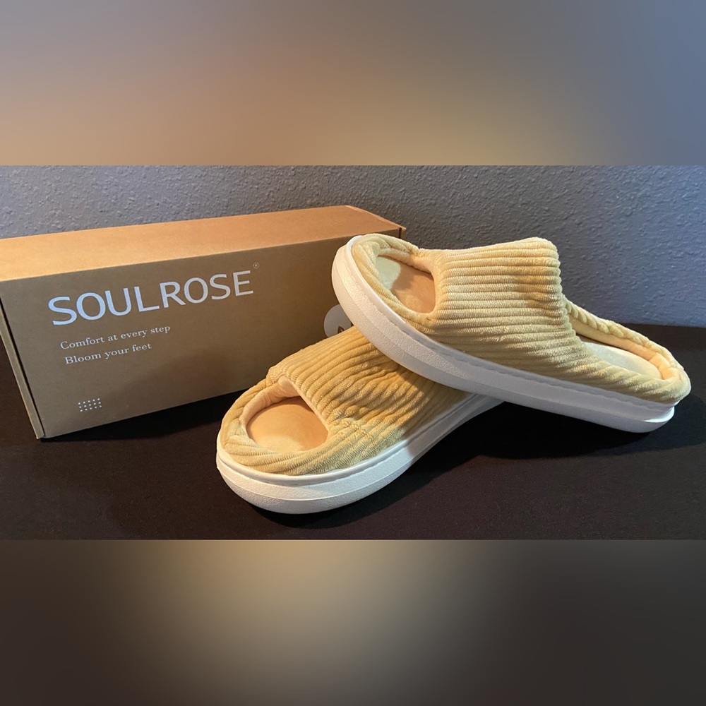 Gift Ready 🎅🏻 SOUL ROSE Slippers Sz 40 Fits 8.5 -9 New in Box ~ Soft Memory Foam